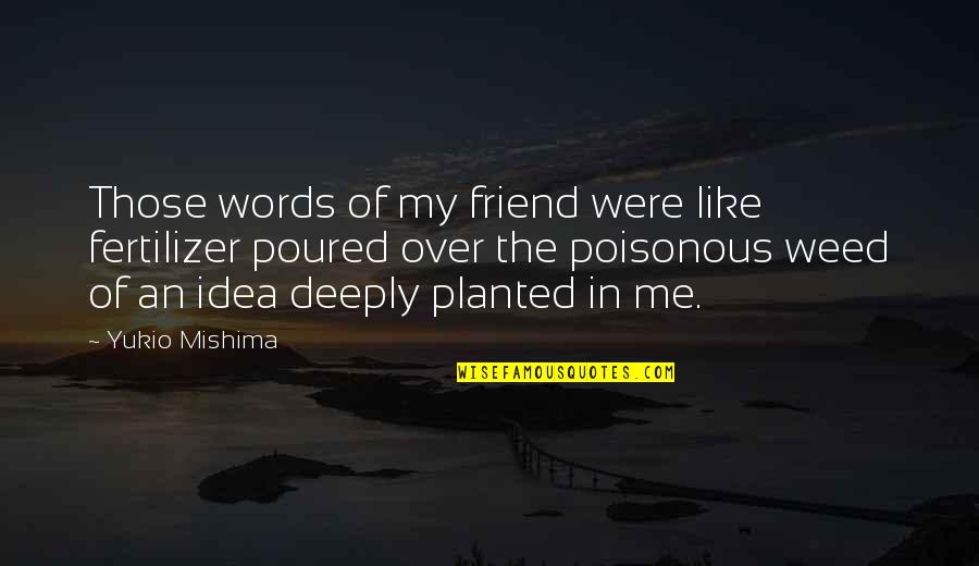 Mishima's Quotes By Yukio Mishima: Those words of my friend were like fertilizer