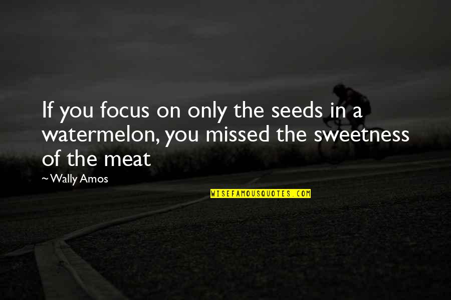 Mishkind Quotes By Wally Amos: If you focus on only the seeds in