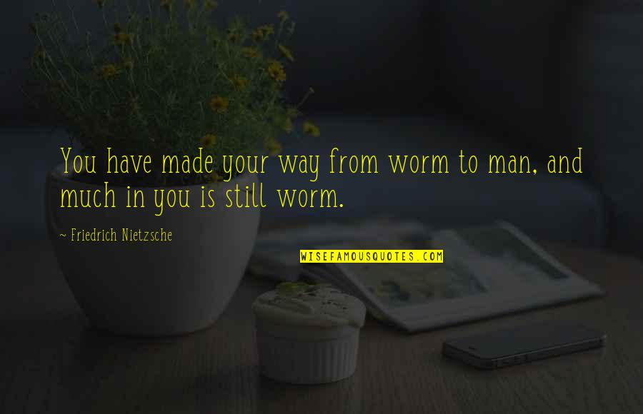 Misionero Posicion Quotes By Friedrich Nietzsche: You have made your way from worm to