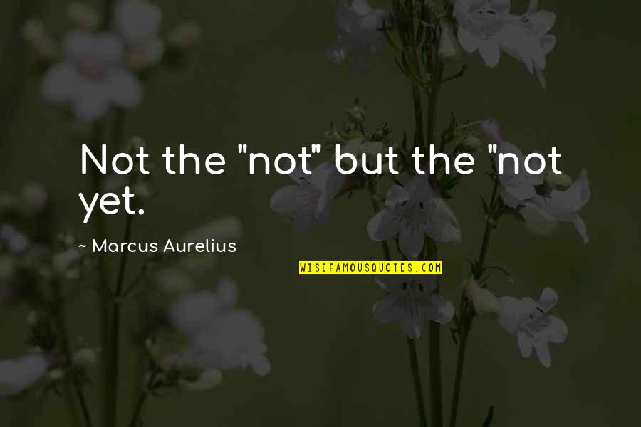 Misirlou Chords Quotes By Marcus Aurelius: Not the "not" but the "not yet. Misirlou Chords Quotes By Marcus Aurelius: Not the "not" but the "not yet.