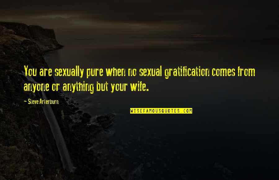 Misjudged Me Quotes By Steve Arterburn: You are sexually pure when no sexual gratification