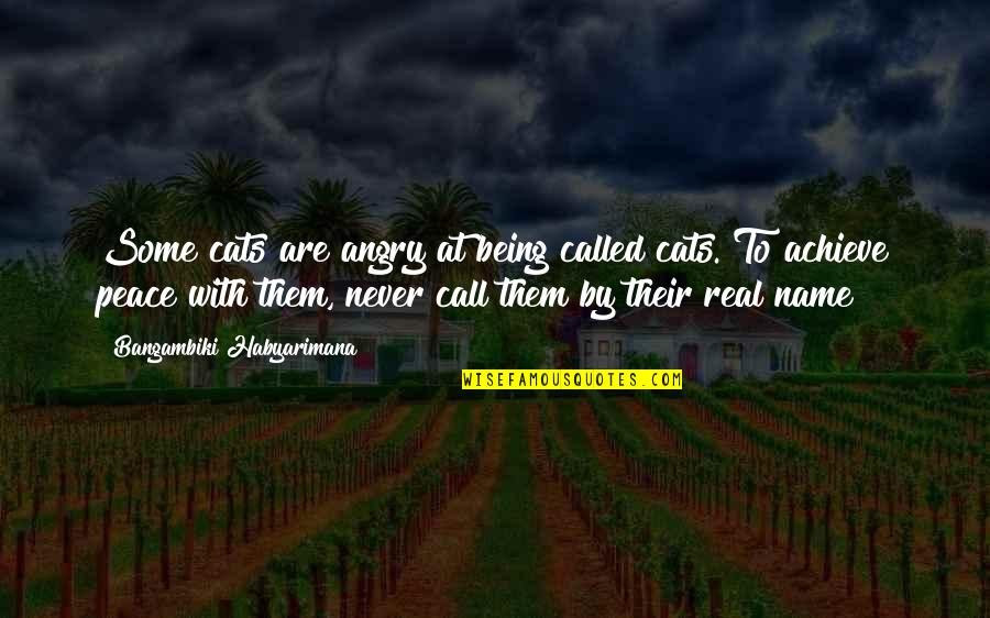 Miskeen Clothing Quotes By Bangambiki Habyarimana: Some cats are angry at being called cats. Miskeen Clothing Quotes By Bangambiki Habyarimana: Some cats are angry at being called cats.