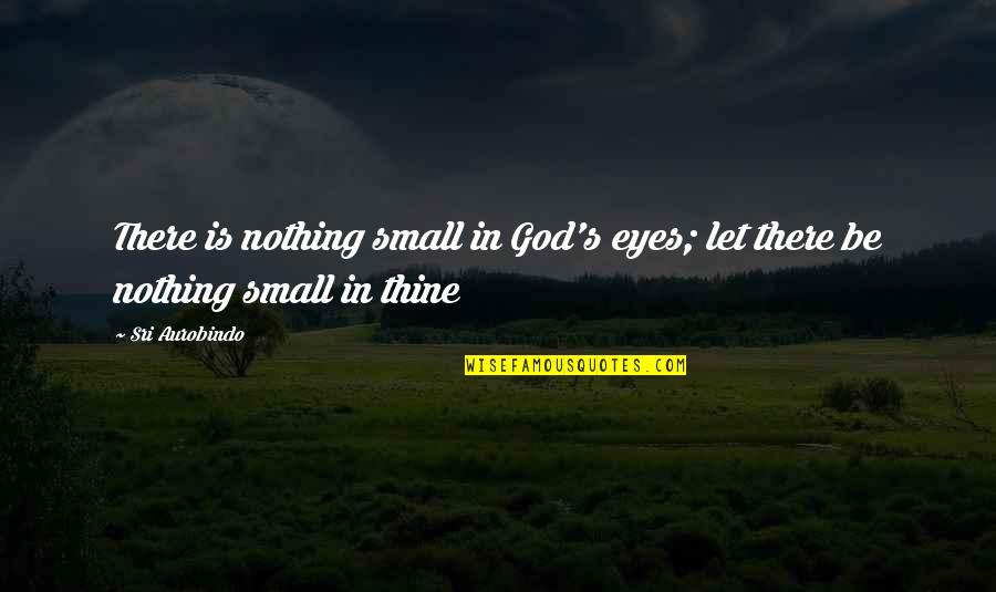 Miskito Quotes By Sri Aurobindo: There is nothing small in God's eyes; let