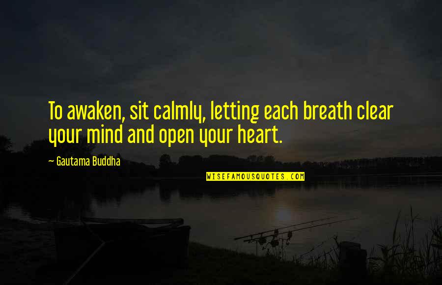 Mislav Jukic Quotes By Gautama Buddha: To awaken, sit calmly, letting each breath clear
