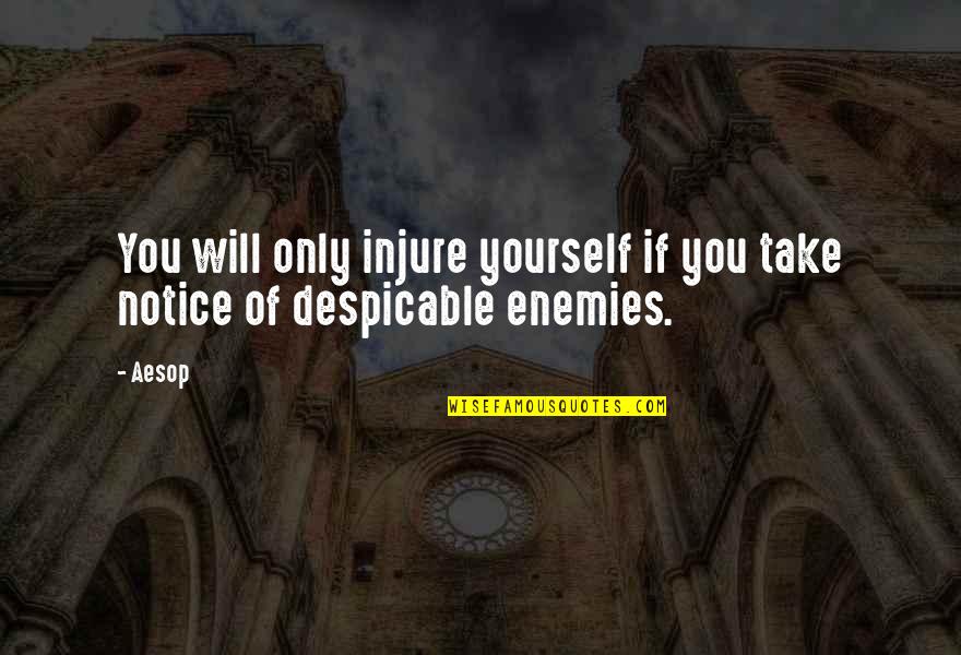 Mismatching Shoes Quotes By Aesop: You will only injure yourself if you take