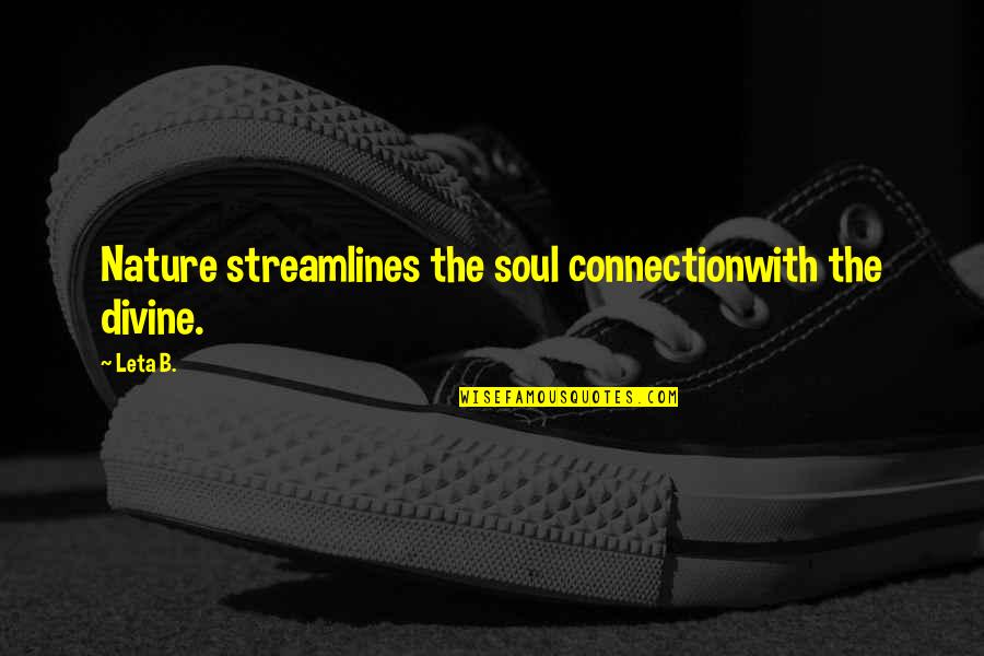 Mispelled Quotes By Leta B.: Nature streamlines the soul connectionwith the divine.
