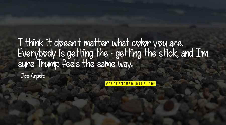 Miss Flite Quotes By Joe Arpaio: I think it doesn't matter what color you Miss Flite Quotes By Joe Arpaio: I think it doesn't matter what color you