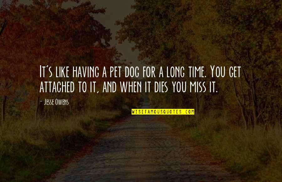 Miss My Dog Quotes By Jesse Owens: It's like having a pet dog for a