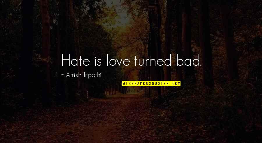 Miss Our Old Conversation Quotes By Amish Tripathi: Hate is love turned bad.