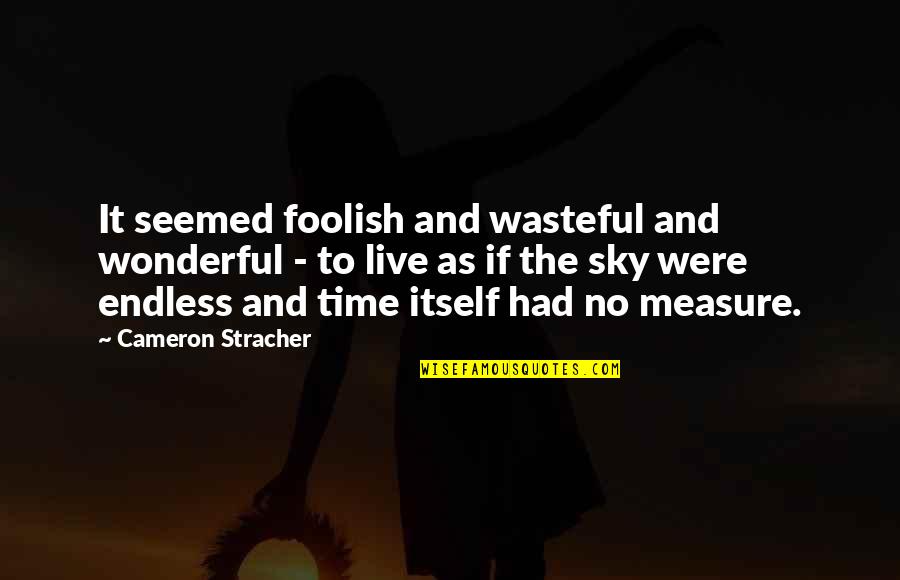 Miss Those Good Old Days Quotes By Cameron Stracher: It seemed foolish and wasteful and wonderful -