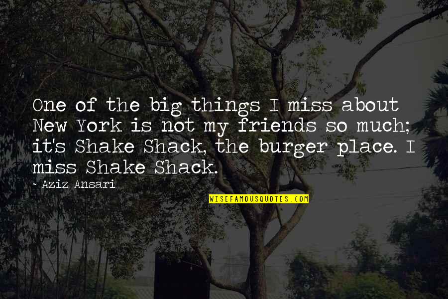 Miss U All Friends Quotes By Aziz Ansari: One of the big things I miss about