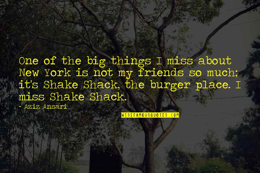 Miss U All My Friends Quotes By Aziz Ansari: One of the big things I miss about