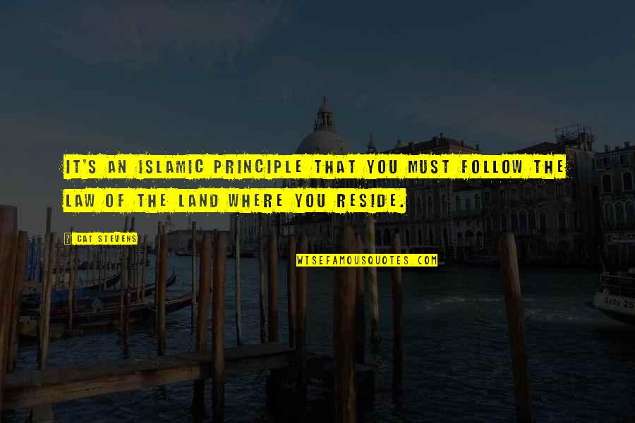 Miss U Smile Quotes By Cat Stevens: It's an Islamic principle that you must follow