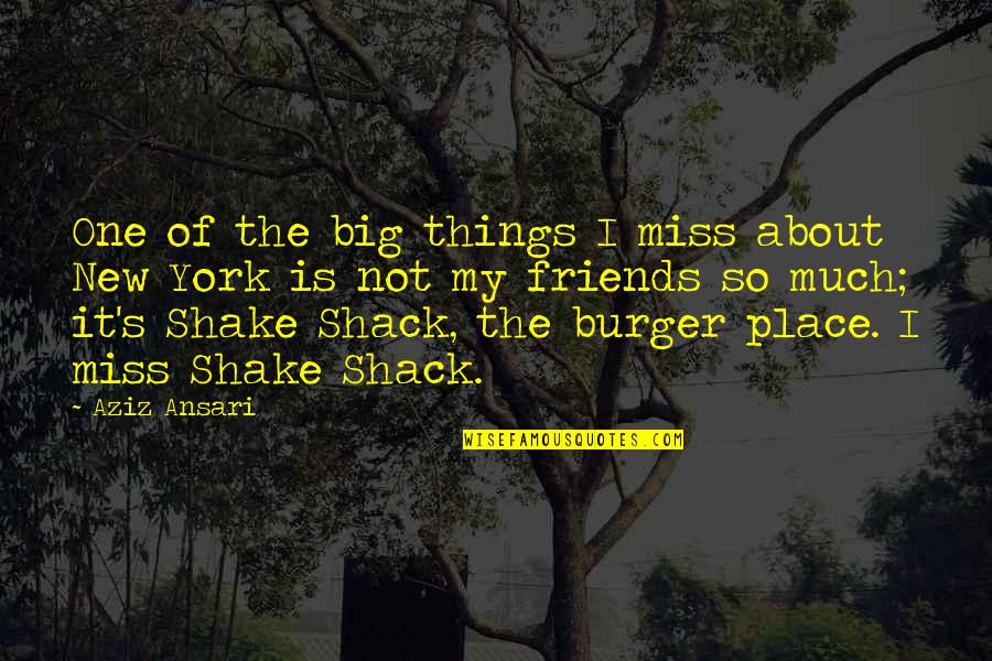 Miss You All Friends Quotes By Aziz Ansari: One of the big things I miss about