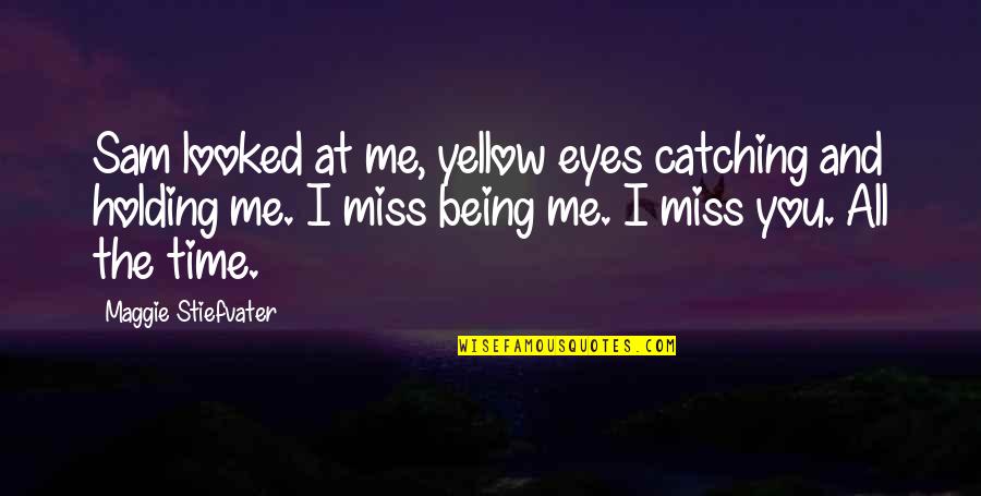 Miss You All Quotes By Maggie Stiefvater: Sam looked at me, yellow eyes catching and