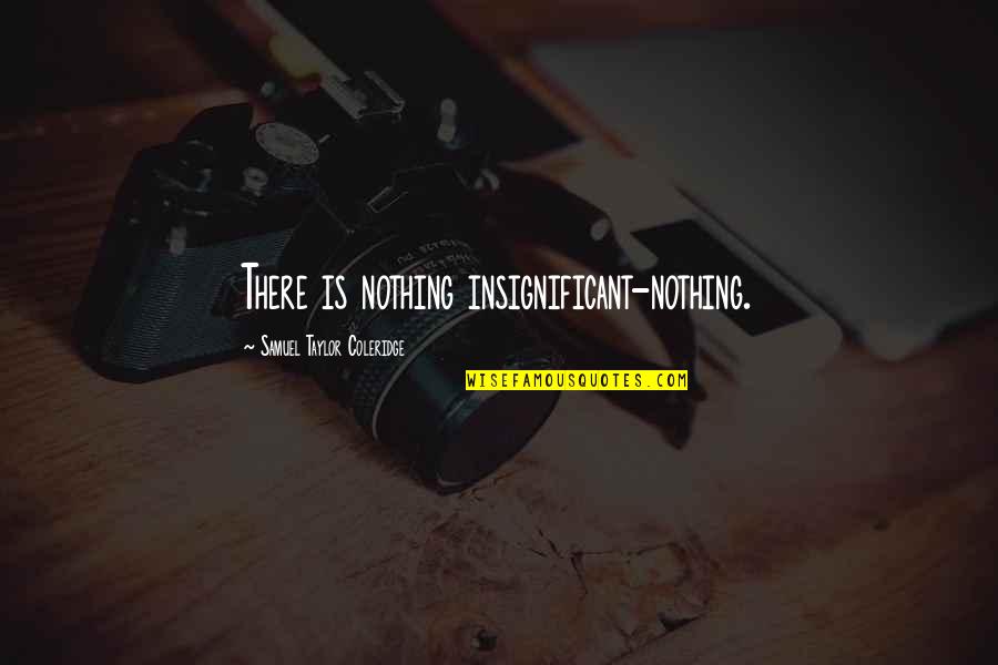 Miss You Every Second Quotes By Samuel Taylor Coleridge: There is nothing insignificant-nothing.