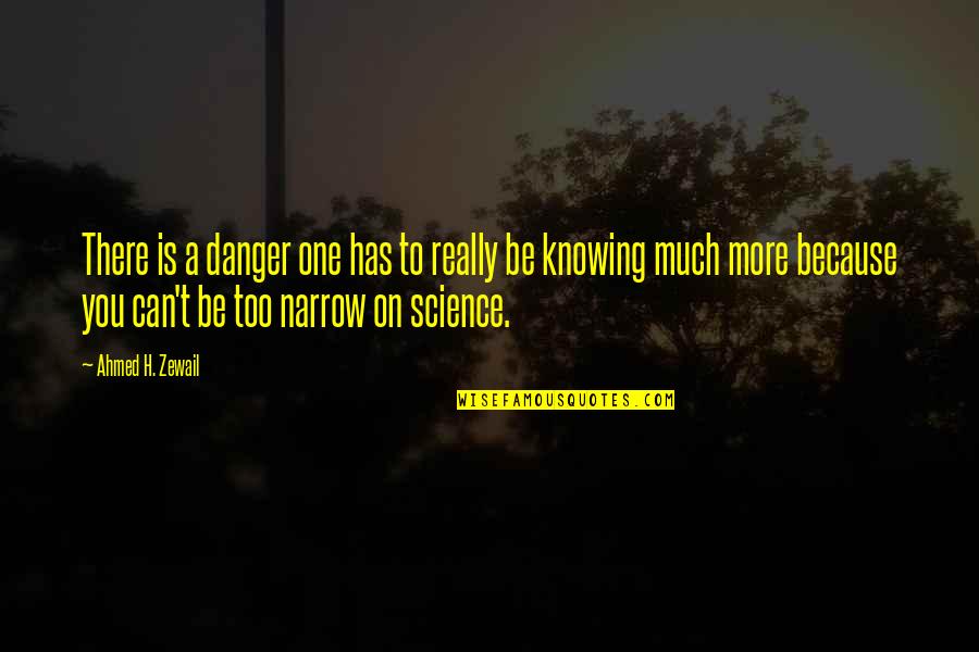Miss You Hug Quotes By Ahmed H. Zewail: There is a danger one has to really Miss You Hug Quotes By Ahmed H. Zewail: There is a danger one has to really