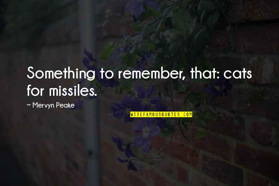 Missiles Quotes By Mervyn Peake: Something to remember, that: cats for missiles.