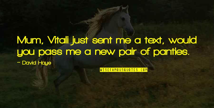 Missing A Piece Of My Heart Quotes By David Haye: Mum, Vitali just sent me a text, would