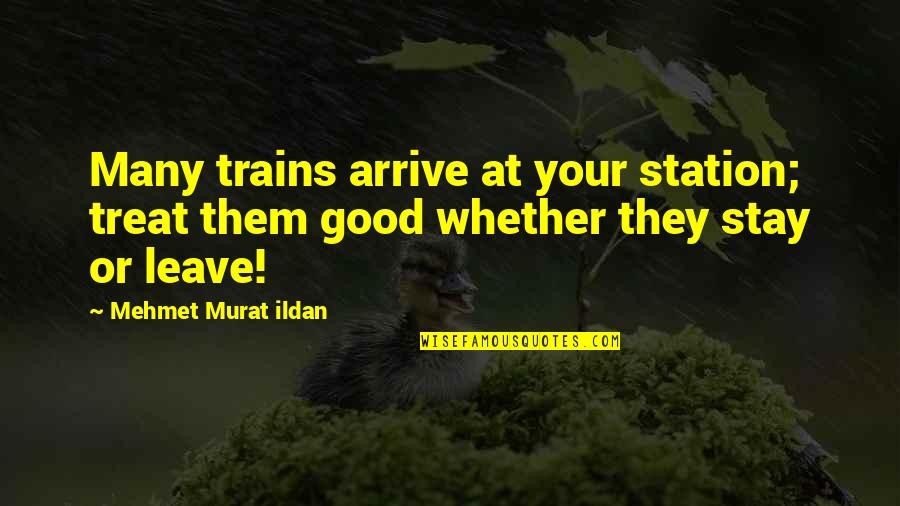 Missing Heartbeats Quotes By Mehmet Murat Ildan: Many trains arrive at your station; treat them