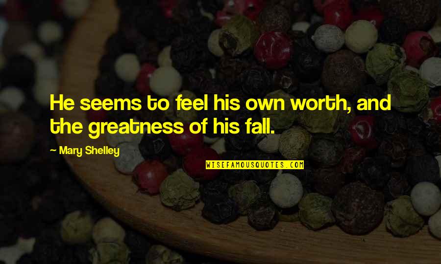 Missing Loved Ones Bible Quotes By Mary Shelley: He seems to feel his own worth, and