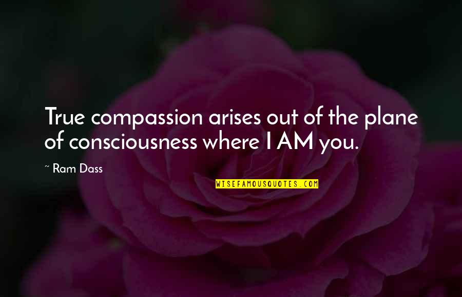 Missing My Late Sister Quotes By Ram Dass: True compassion arises out of the plane of