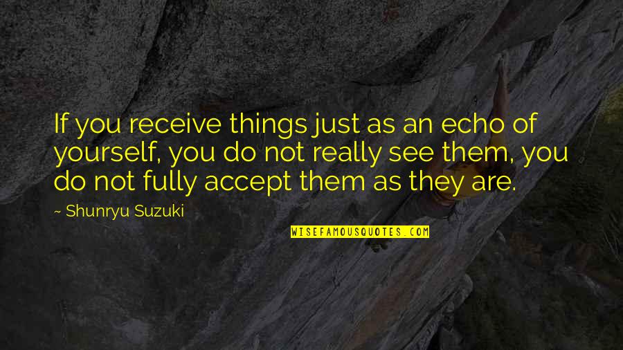 Missing My Team Quotes By Shunryu Suzuki: If you receive things just as an echo