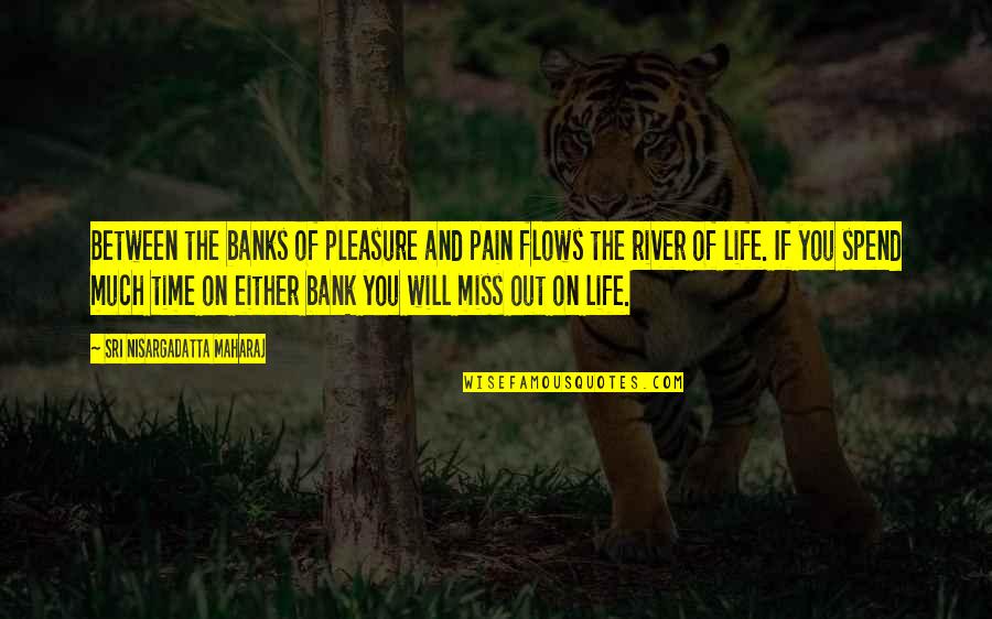 Missing Out Life Quotes By Sri Nisargadatta Maharaj: Between the banks of pleasure and pain flows