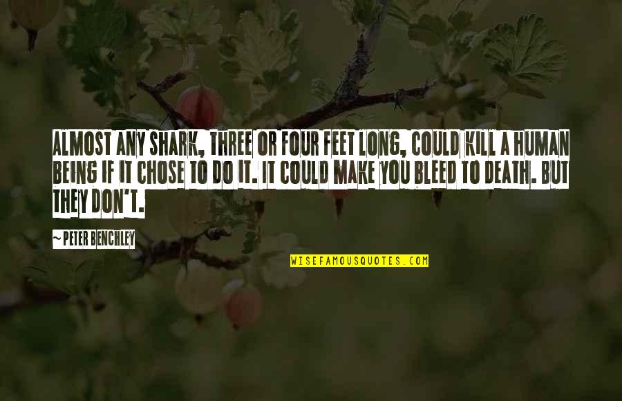 Missing Past Life Quotes By Peter Benchley: Almost any shark, three or four feet long,