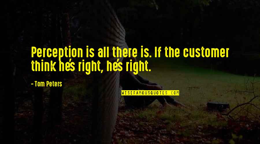 Missing Someone Far Away Quotes By Tom Peters: Perception is all there is. If the customer