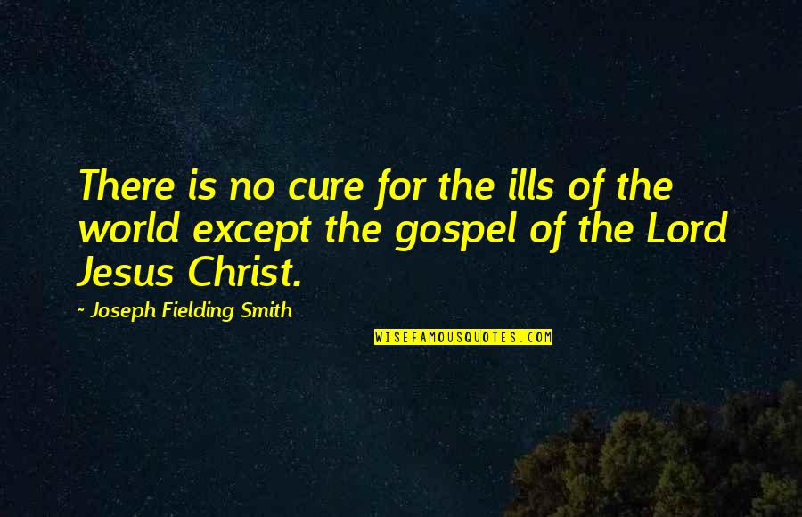 Missing Tumblr Quotes By Joseph Fielding Smith: There is no cure for the ills of