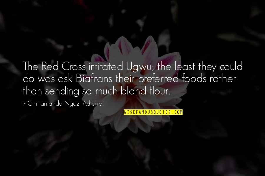 Missing What You Had Quotes By Chimamanda Ngozi Adichie: The Red Cross irritated Ugwu; the least they