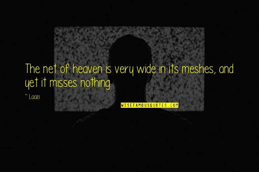Missing You In Heaven Quotes By Laozi: The net of heaven is very wide in