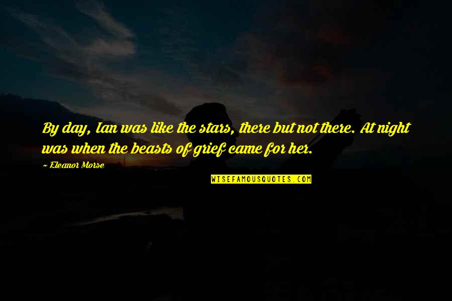 Missing You Night Quotes By Eleanor Morse: By day, Ian was like the stars, there