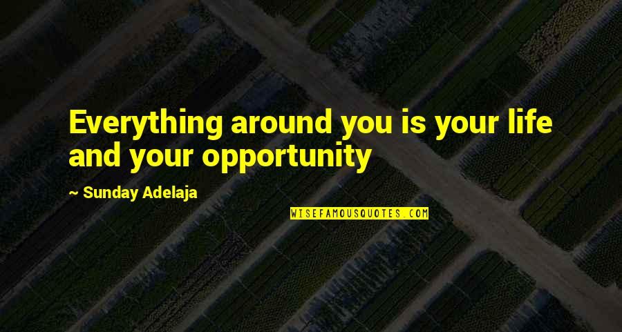 Mission And Purpose Quotes By Sunday Adelaja: Everything around you is your life and your Mission And Purpose Quotes By Sunday Adelaja: Everything around you is your life and your