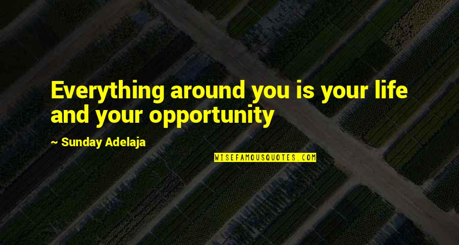 Mission And Purpose Quotes By Sunday Adelaja: Everything around you is your life and your