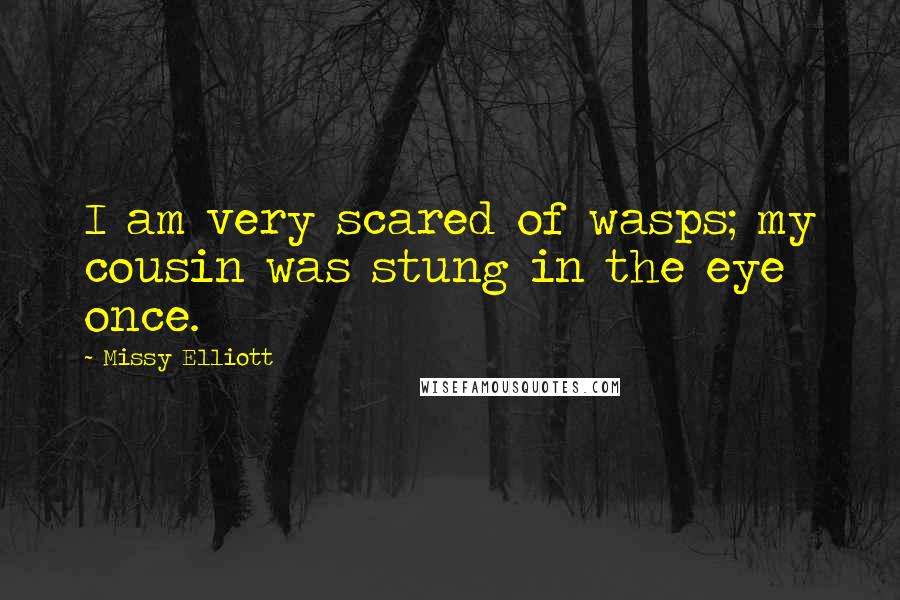 Missy Elliott quotes: I am very scared of wasps; my cousin was stung in the eye once.