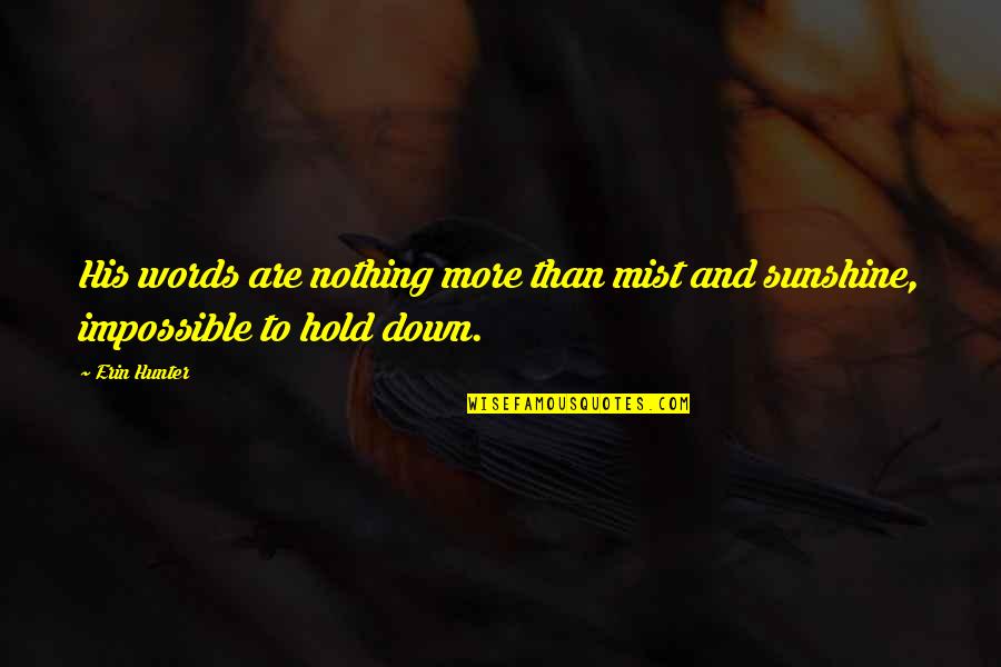 Mist Quotes By Erin Hunter: His words are nothing more than mist and