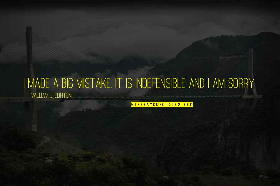 Mistake And Sorry Quotes By William J. Clinton: I made a big mistake. It is indefensible