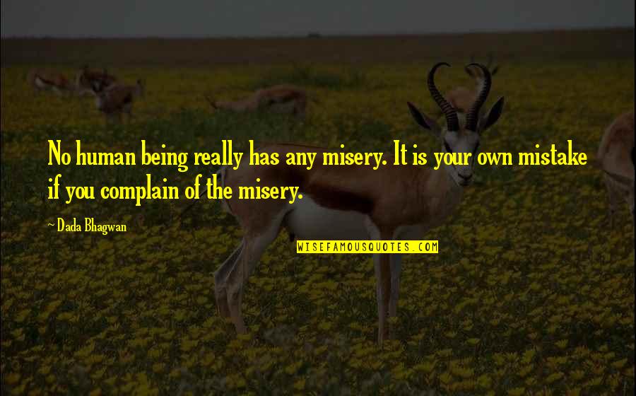 Mistake Is Human Quotes By Dada Bhagwan: No human being really has any misery. It Mistake Is Human Quotes By Dada Bhagwan: No human being really has any misery. It