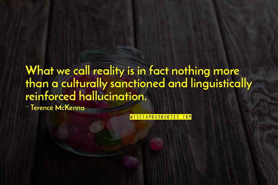 Misticidad Quotes By Terence McKenna: What we call reality is in fact nothing