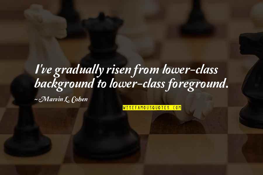 Mistovich Pre Quotes By Marvin L. Cohen: I've gradually risen from lower-class background to lower-class