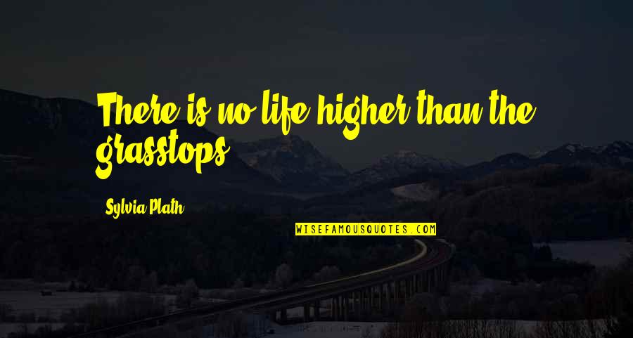 Mistrick Quotes By Sylvia Plath: There is no life higher than the grasstops Mistrick Quotes By Sylvia Plath: There is no life higher than the grasstops