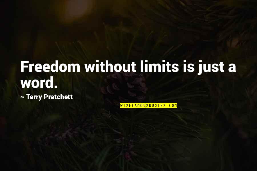 Mistrust In Love Quotes By Terry Pratchett: Freedom without limits is just a word.