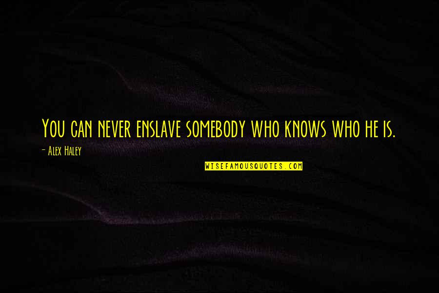 Misty Day Coven Quotes By Alex Haley: You can never enslave somebody who knows who Misty Day Coven Quotes By Alex Haley: You can never enslave somebody who knows who