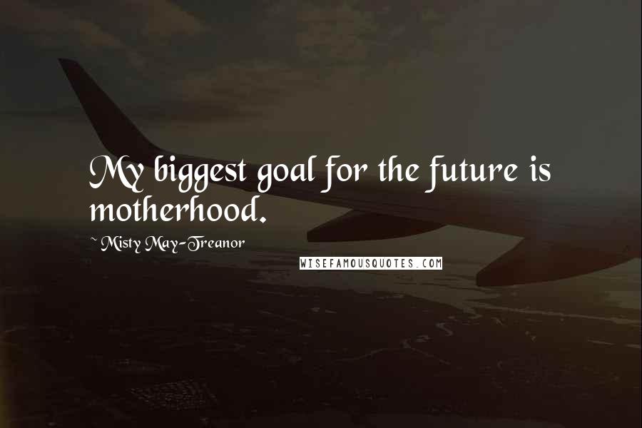 Misty May-Treanor quotes: My biggest goal for the future is motherhood.
