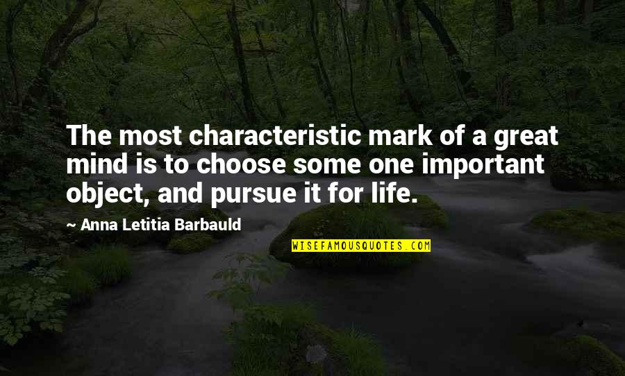 Misty Weather Quotes By Anna Letitia Barbauld: The most characteristic mark of a great mind