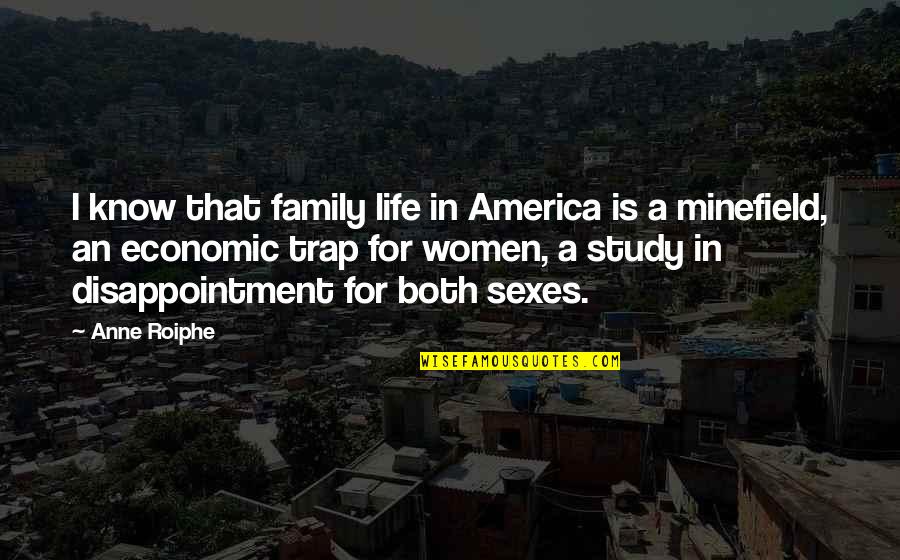 Mistystone420 Quotes By Anne Roiphe: I know that family life in America is