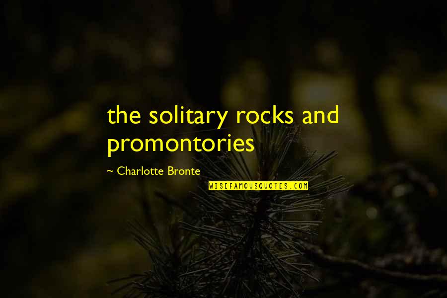 Misunderstanding Love Quotes By Charlotte Bronte: the solitary rocks and promontories