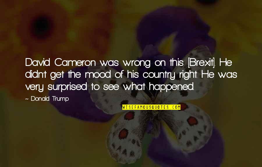 Miswrite Quotes By Donald Trump: David Cameron was wrong on this [Brexit]. He
